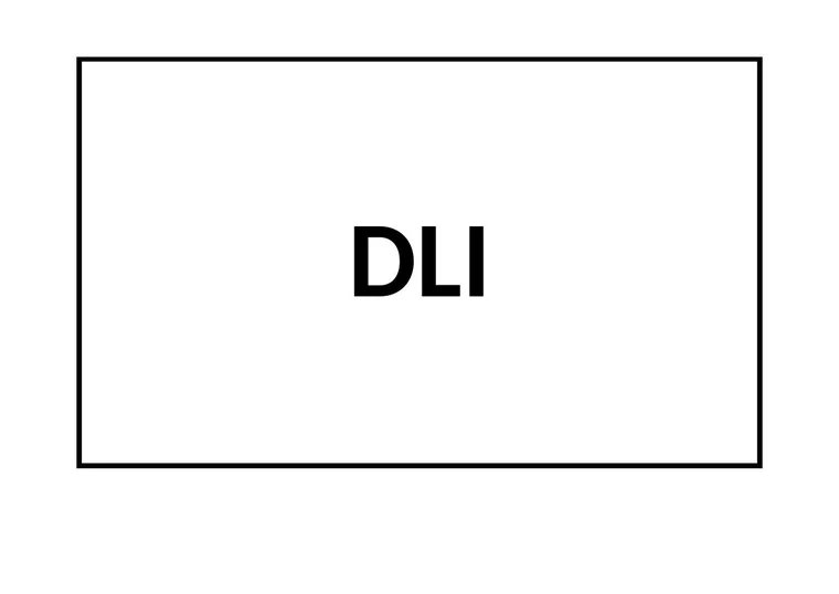 DLI Glossary phonics flashcard front